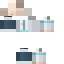 Arctic Guide